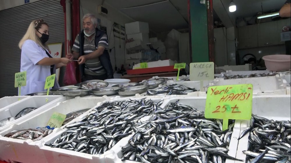 Giresun'da balıkçıların hamsi endişesi