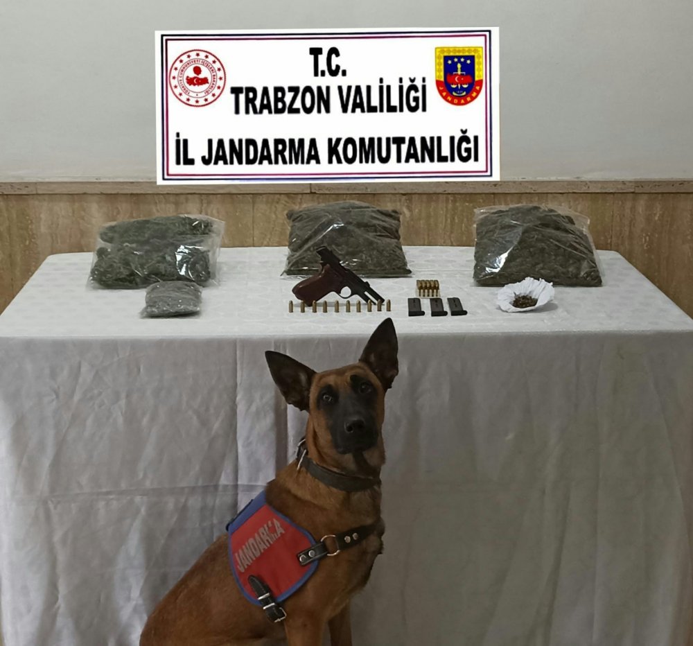 Trabzon'da Jandarmadan uyuşturucu operasyonu