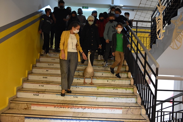 Trabzon'da Çin kazı kirli derslere neşe katıyor