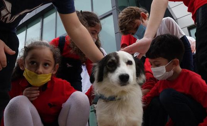 Trabzon'da çocuklara hayvan sevgisi aşılanıyor