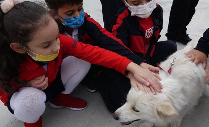 Trabzon'da çocuklara hayvan sevgisi aşılanıyor