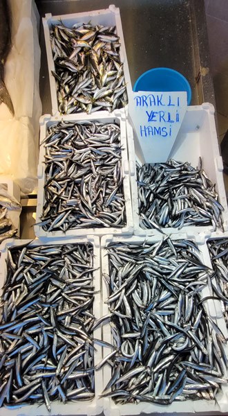 Trabzon'da hamsi avı azaldı, fiyatı arttı