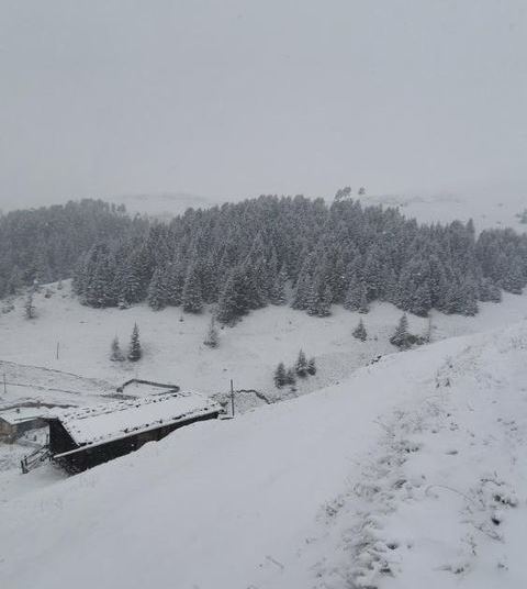 Trabzon'da kar kendini gösterdi