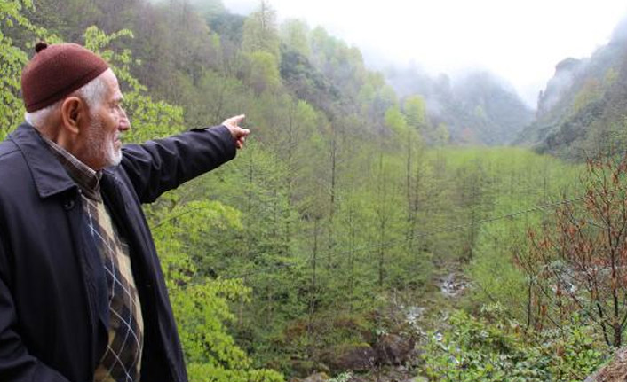 Ormanda yapılmak istenen taş ocağı için rapor çıktı: Ekolojik denge yok olur