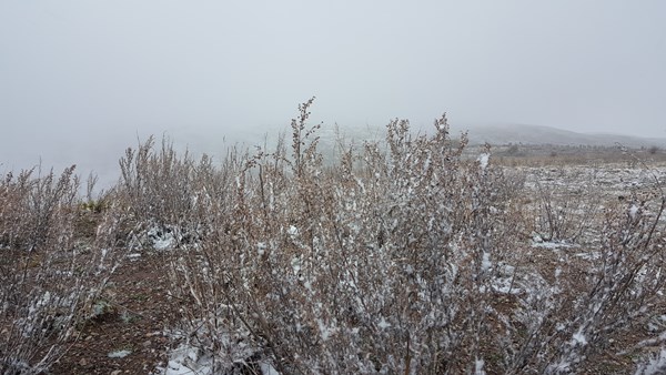 Bayburt ve Erzincan’ın yüksek kesimlerinde kar yağışı