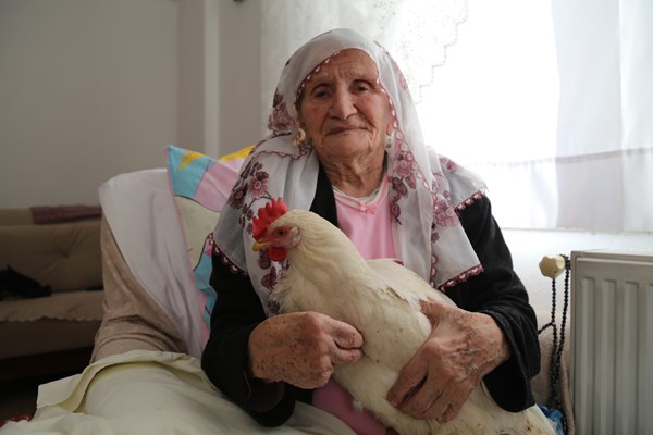 Artvin'de 96 yaşındaki hasta annelerine tavuklu moral