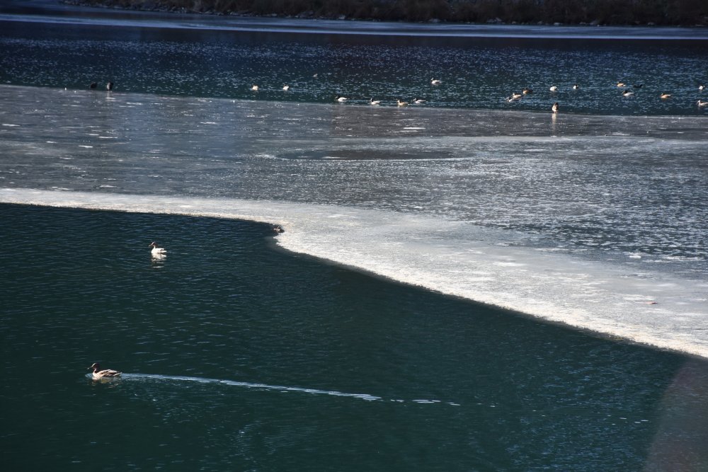 Uzungöl'ün yüzeyinin bir kısmı buz tuttu