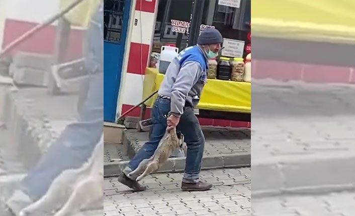 Hasta köpeği patilerinden taşıyan belediye işçisine ceza