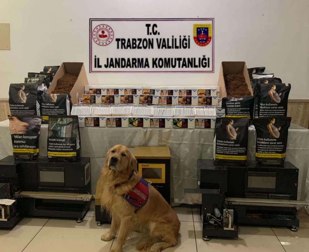 Trabzon’da kaçak sigara imalathanesine baskın