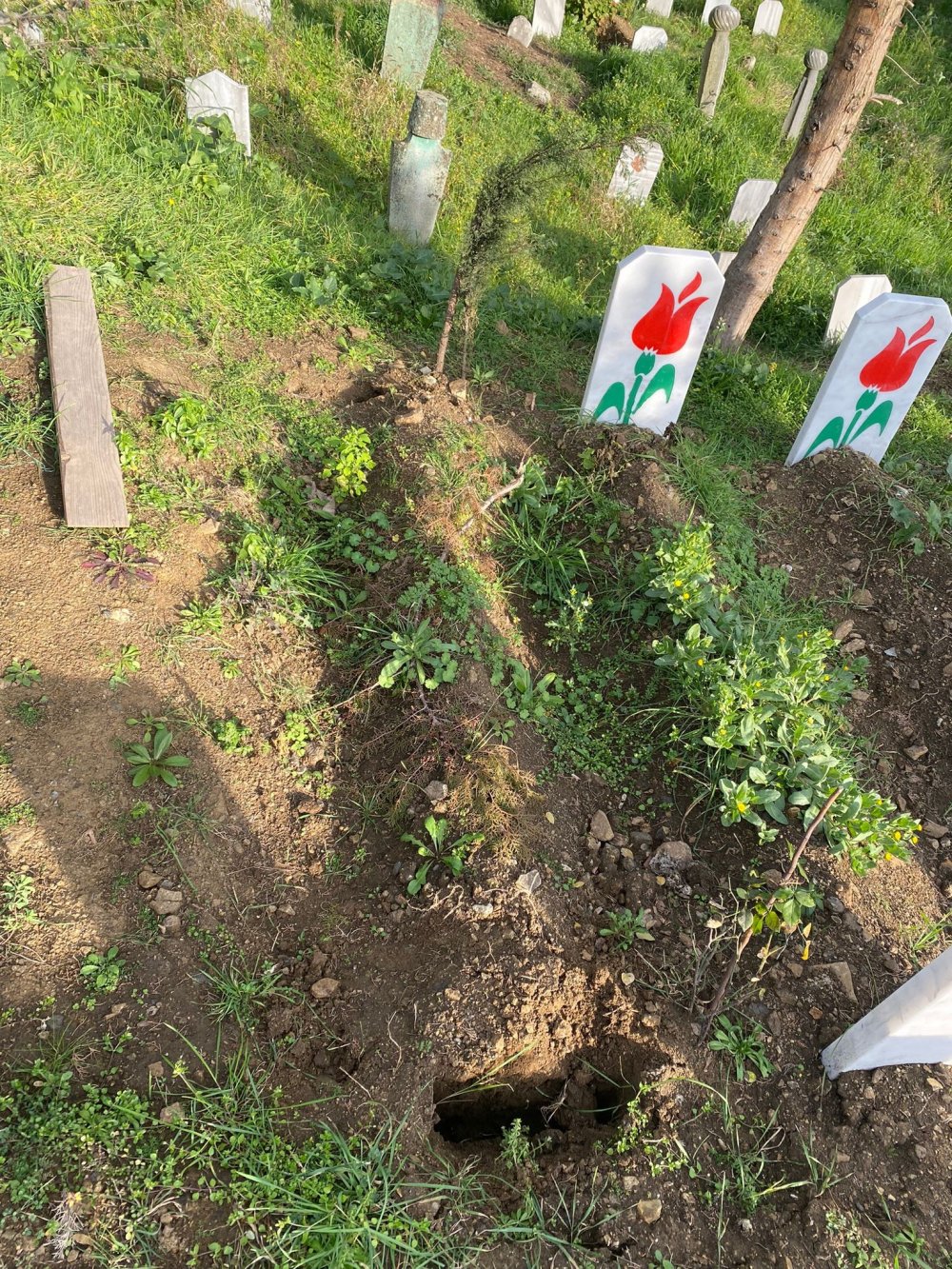 Trabzon'da mezar taşlarını çalan hırsız yakalandı