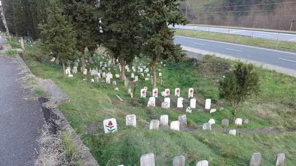 Trabzon’da mezar taşlarını çalan kişi bakın kim çıktı! Herkes şok oldu