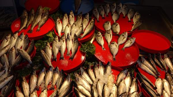 Trabzon'da soğuk ve karlı hava balık tezgâhlarını etkiledi