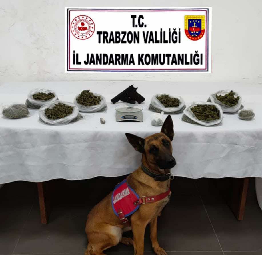 Trabzon'da uyuşturucu operasyonunda 2 kişi yakalandı