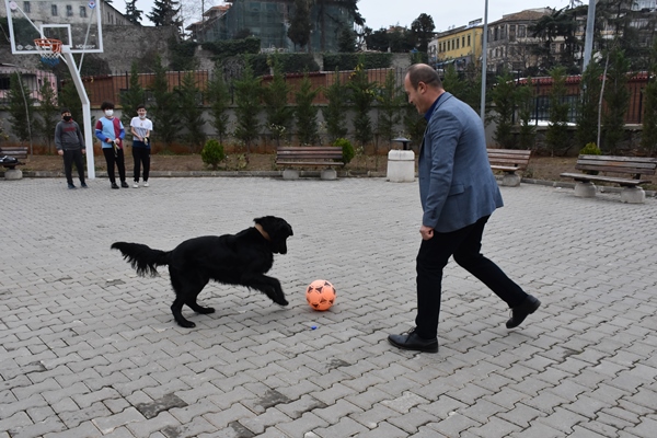 Trabzon'da okul müdürü, sahiplendiği "Pars" ile köpek korkusunu yendi
