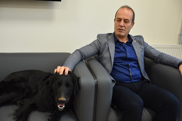 Trabzon'da okul müdürü, sahiplendiği "Pars" ile köpek korkusunu yendi