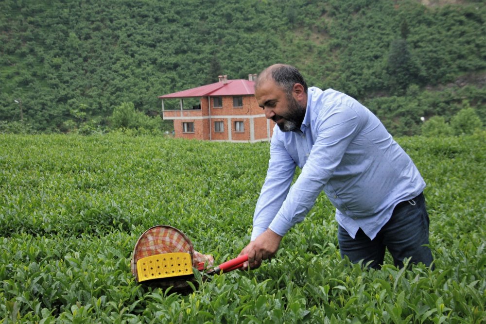 Çay Sektörü Nereye Gidiyor? “Girdiler arttı ama çay fiyatı aynı"