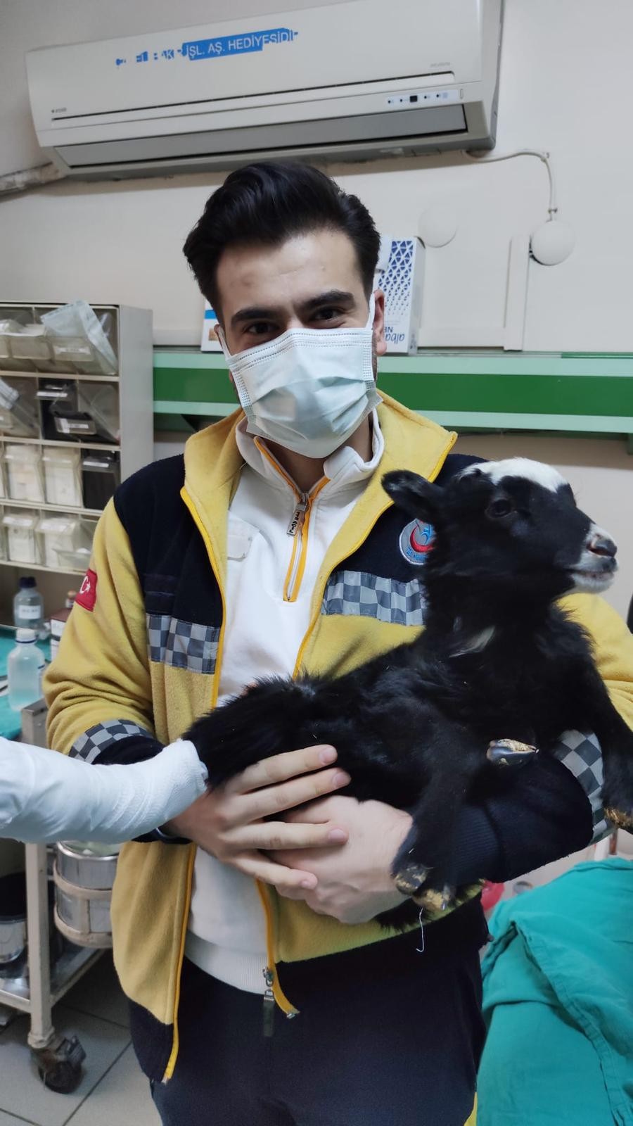 Rize'de veteriner olmayınca kuzu hastanede tedavi edildi