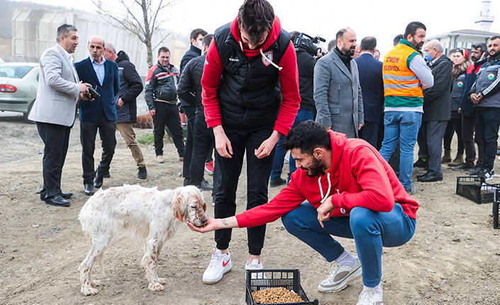 Futbol ve basketbolculardan sokak hayvanlarına destek