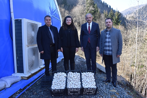 Trabzonlu mimar devlet desteğiyle kurduğu tesiste mantar üretiyor