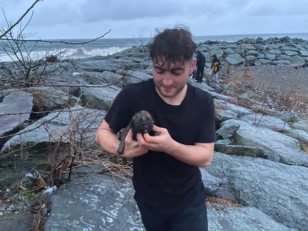 Artvin'de deniz kenarında doğuran köpek için seferberlik