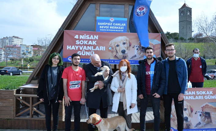 Trabzon'da sokak hayvanları için etkinlik