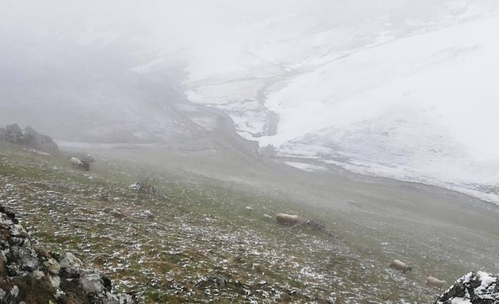 Bayburt - Trabzon arasındaki yaylalarda kar yağdı