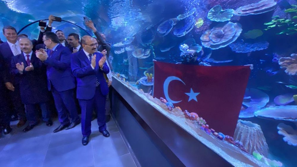 Trabzon'da Tünel Akvaryum'un açılışı