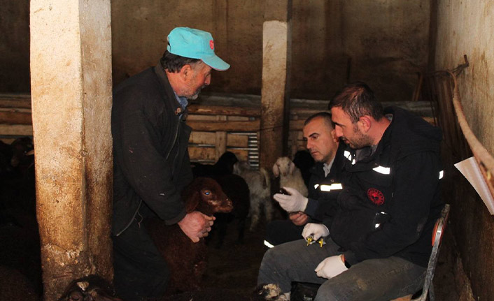 Bayburt'ta kurbanlık hayvanlar aşılandı
