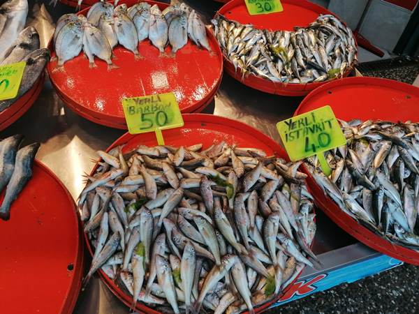 Trabzon’da balık tezgahına uğrayan yok! İşte fiyatlarda son durum