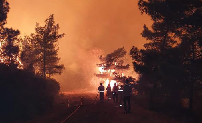 Yangına yüzlerce personel ile müdahale ediliyor