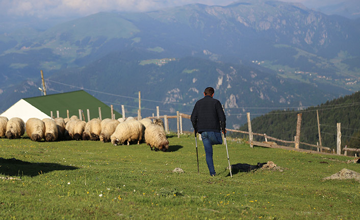 Gümüşhane'de bir çoban 26 yıldır tek bacağıyla hayvanlarını otlatıyor