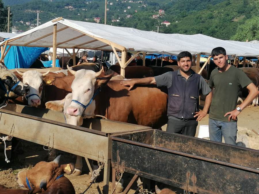 Trabzon Kurban Pazarı'nda son durum! "Vatandaş fiyatları sorup gidiyor"