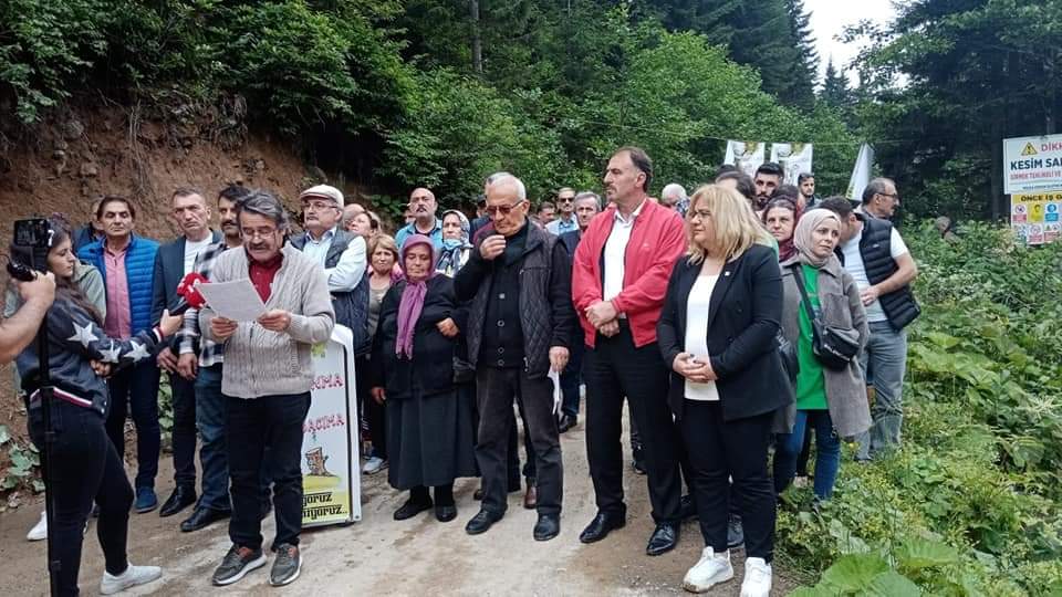Trabzon'da ağaç kesimine tepki! "Akdeniz ve Ege'de ateş Trabzon'da motor ağaçların celladı oldu"