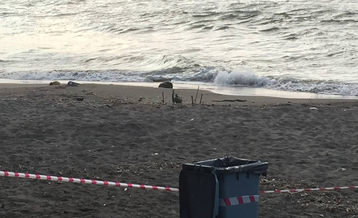 Rus yapımı mayın tetikleyicisi bölgemizde sahile vurdu!