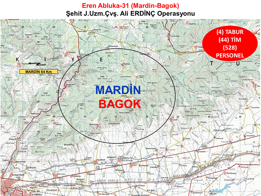 Mardin'de 'Eren Abluka-31 operasyonu başladı