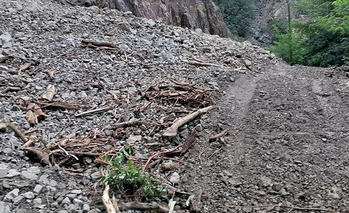 Artvin’de etkili olan sağanak yağış köy yolunu ulaşıma kapattı