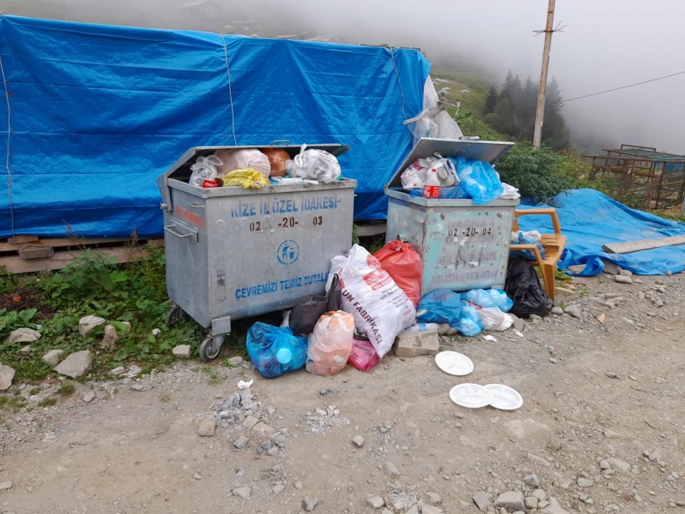 Rize'de doğaya bırakılan çöpler bir ineğin ölümüne neden oldu