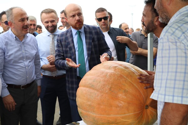 Pepeçura’nın yeni rakibi ‘Pelise’ oldu