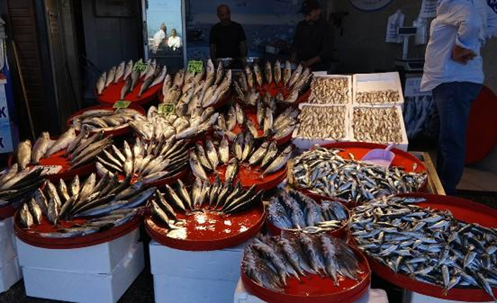 Karadeniz'de palamut bolluğu