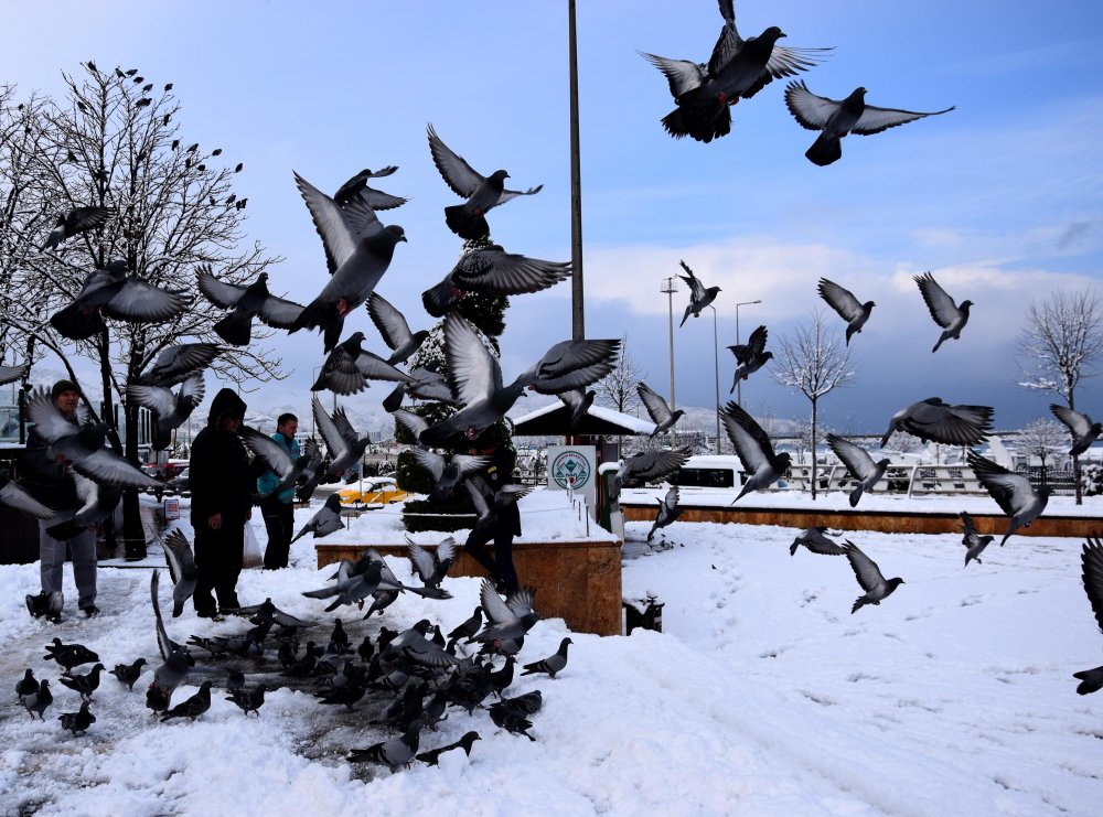 Giresun'da kar yağışı 449 köy yolunu ulaşıma kapattı 