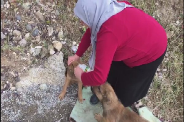 Çiftten 'İnsanlık ölmemiş' dedirten hareket