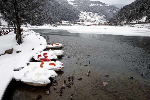 Turistler beyaza bürünen Uzungöl'den vazgeçmedi