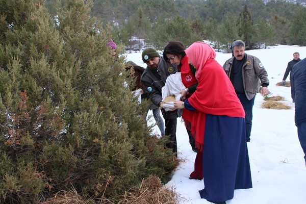 Gümüşhane’de Dünya Yaban Hayatı günü kutlandı