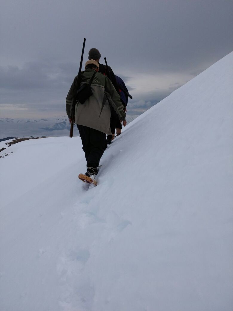 Ayılar mezarlardan sonra yayla evlerine dadandı