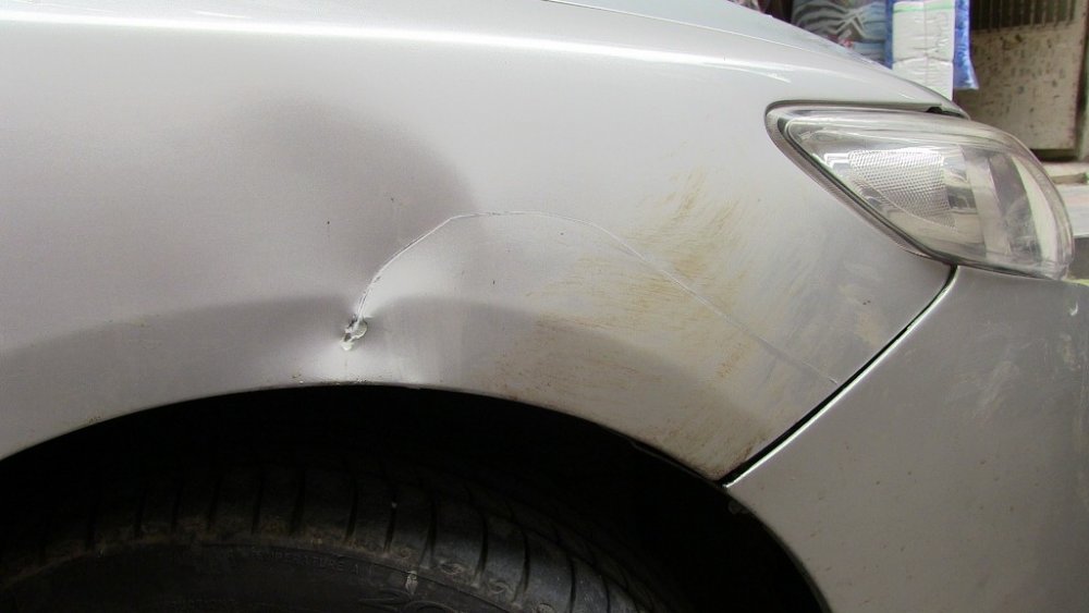 Artvin’de bir otomobile ayı saldırdı
