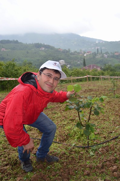 Fındık bahçelerinde devrim