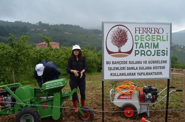 Fındık bahçelerinde devrim