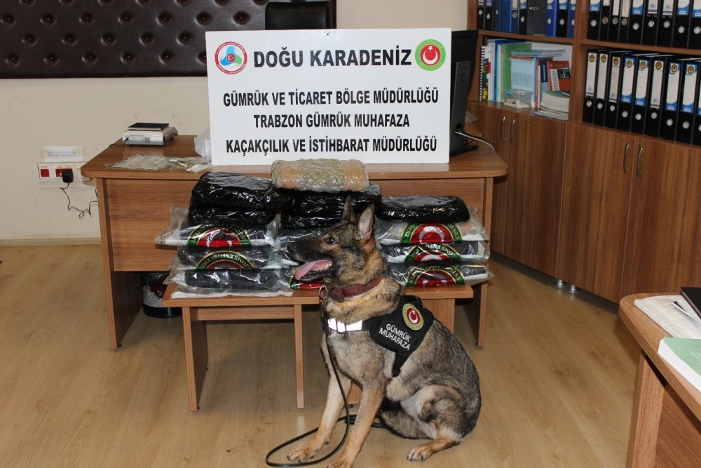 Trabzon Havalimanı'nda uyuşturucu yakalandı!