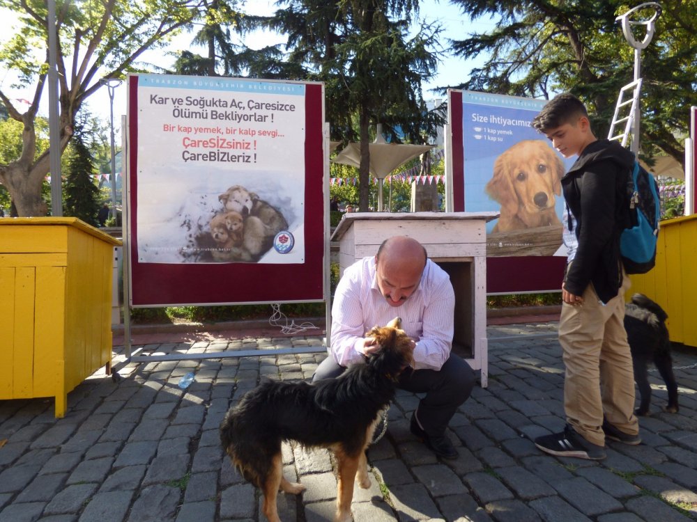 Trabzon'da sokak hayvanları için anlamlı etkinlik