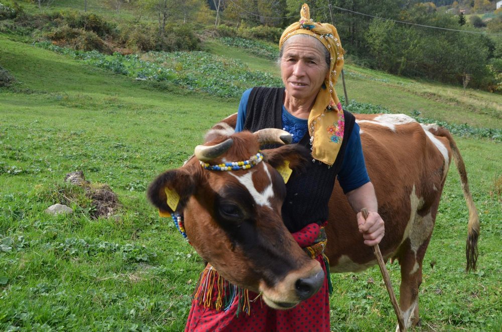 Trabzonlu kadın hayatını ineklerine adadı 